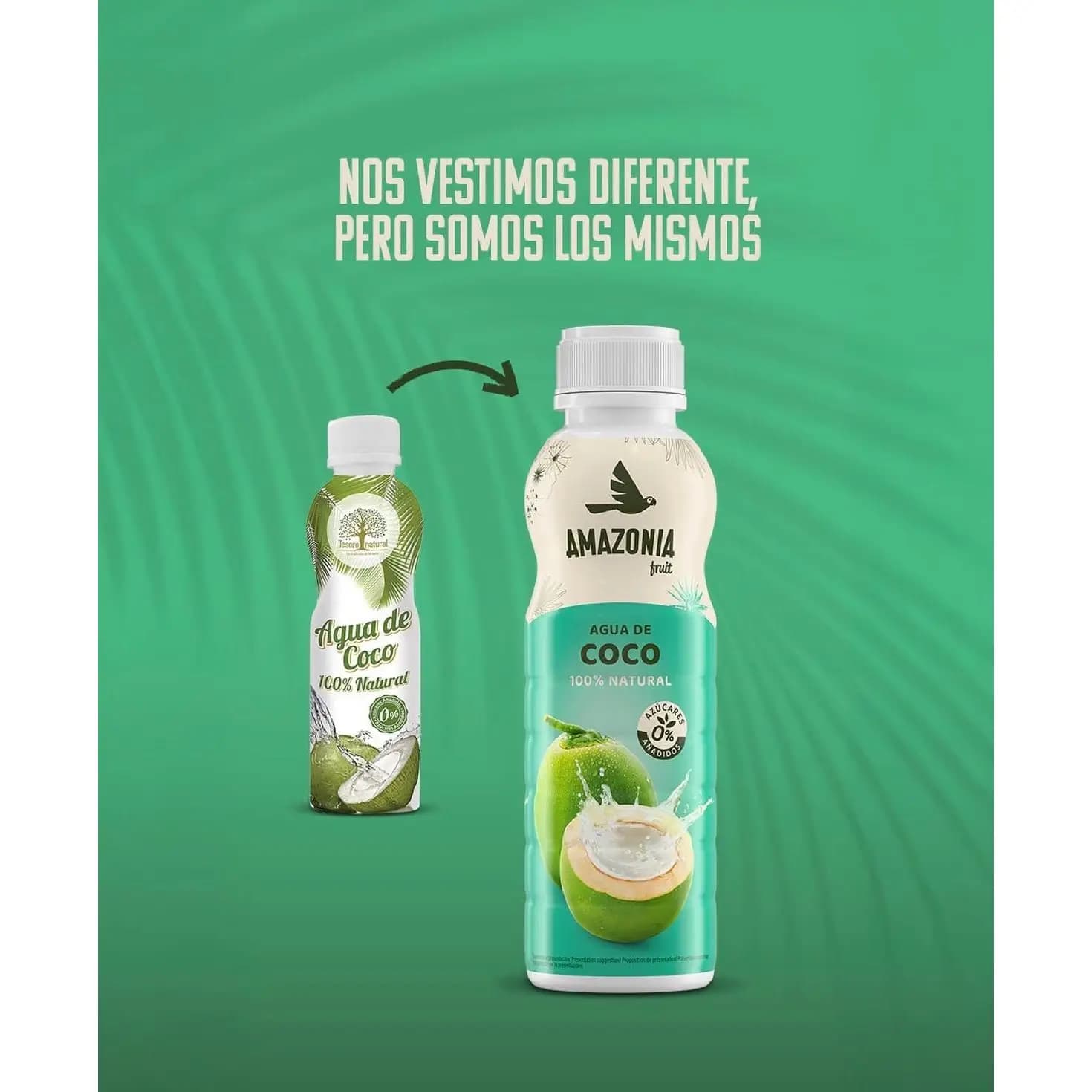 Amazonia Agua de Coco 100% Natural sin Azúcares Añadidos - Pack 12 · Tesoro Natural/ Amazonia