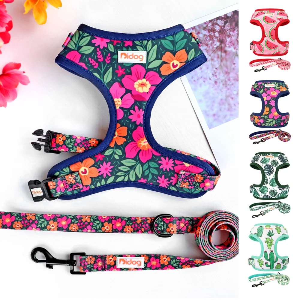 Conjunto de correa de arnés de Bulldog Francés de malla de nailon ajustable, arnés con estampado bonito para cachorros y gatos, chaleco, correa