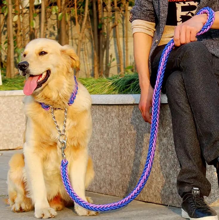 Cuerda de doble hebra, correas grandes para perros, hebilla de cadena de Metal P, conjunto de Collar de cuerda de tracción para mascotas de Color