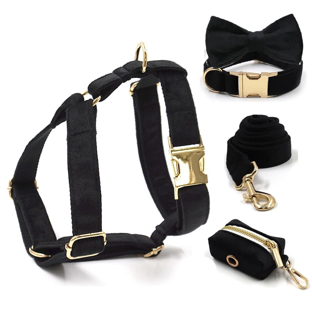 Arnés de perro de terciopelo negro, Collar de perro duradero personalizado de alta calidad con hebillas de Metal dorado, Collar y correa para