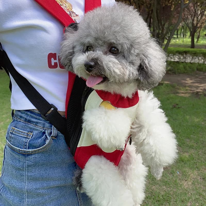 Mochila de lona para mascotas, transportador para perros pequeños y medianos, Bulldog Francés, Chihuahua, viaje al aire libre, hombro, parte