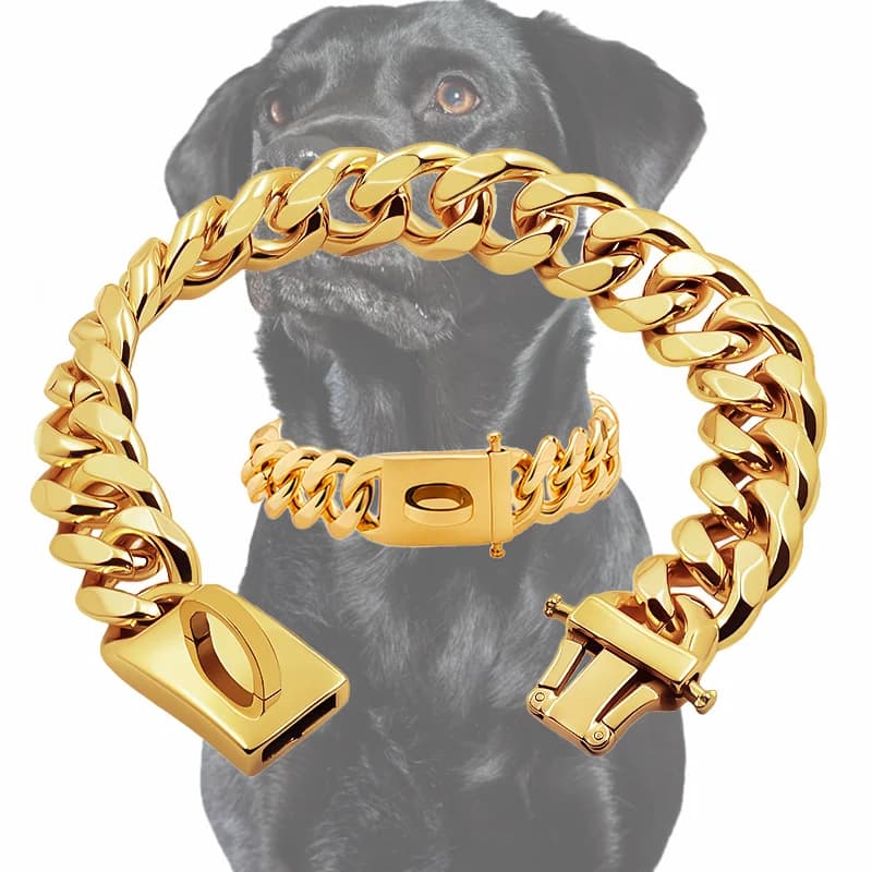Collar de Perro Dorado de Acero Inoxidable, Collar Metálico Plateado de 19 mm de Ancho para Perros Medianos y Grandes, Bulldog Francés, Labrador