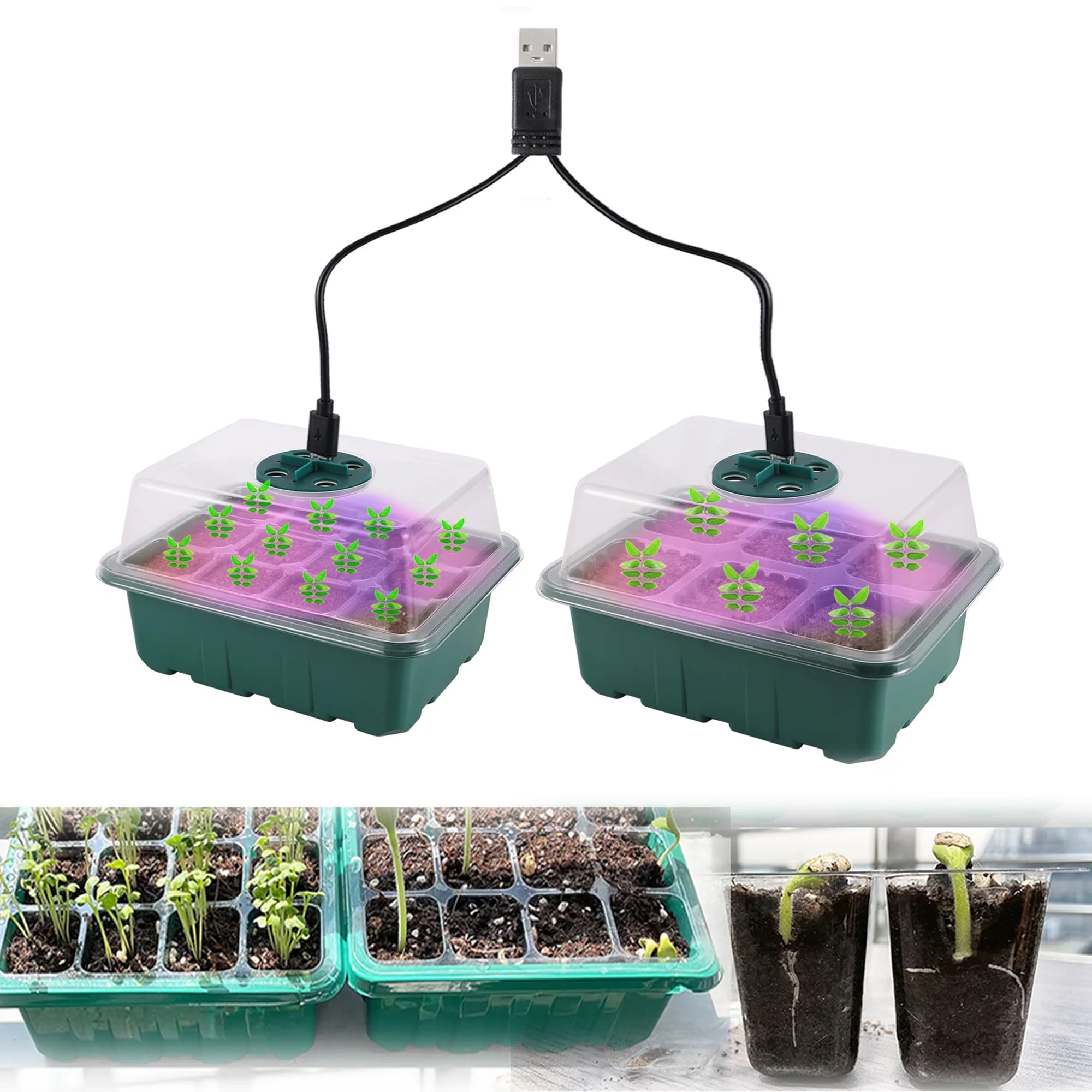 Caja de bandeja de inicio de semillas con luz LED de cultivo, maceta para vivero, macetero de germinación de plántulas, ventilación ajustable,