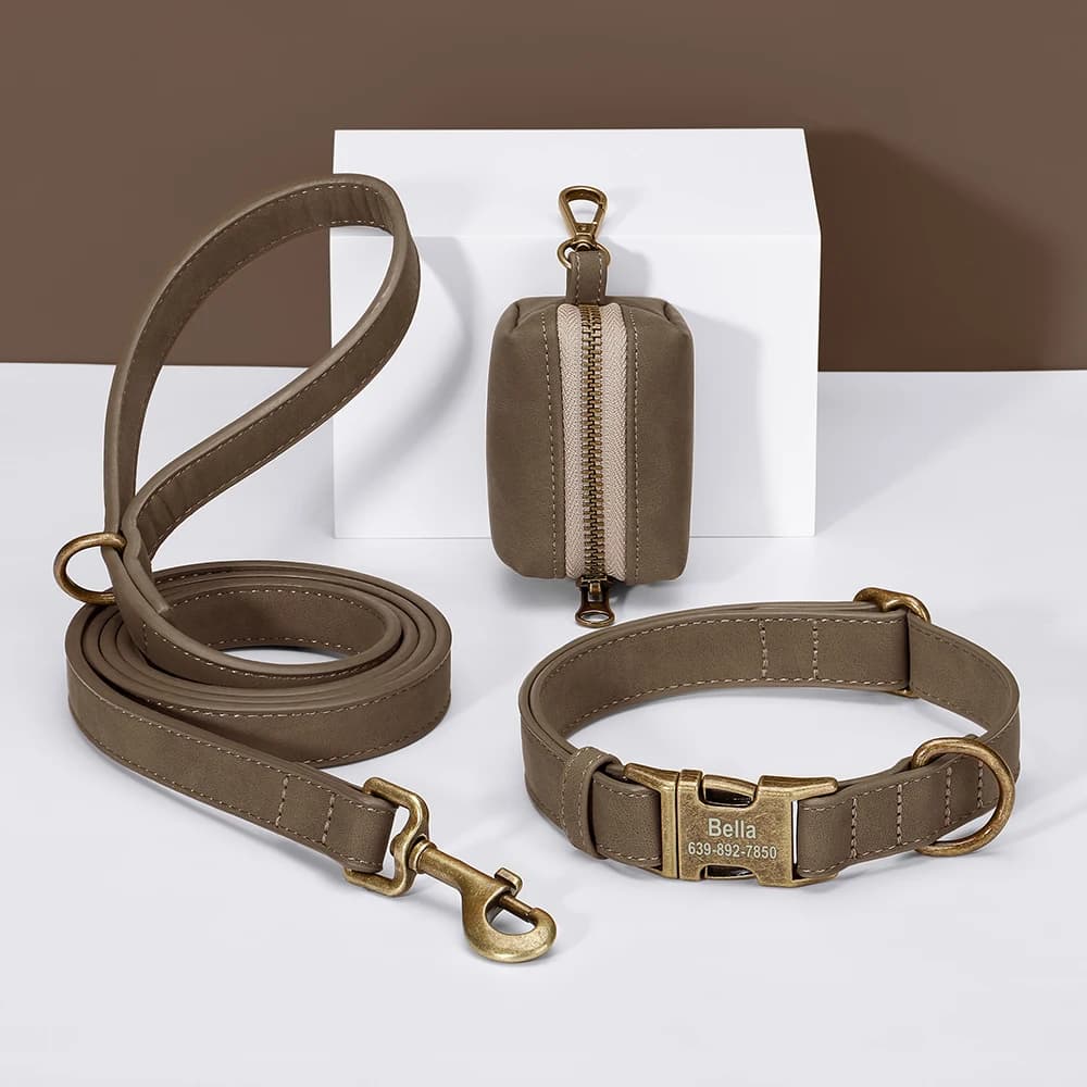Collar de perro personalizado, conjunto de bolsa con correa, collares de cuero PU personalizados para perros, Collar Vintage con hebilla para mascotas