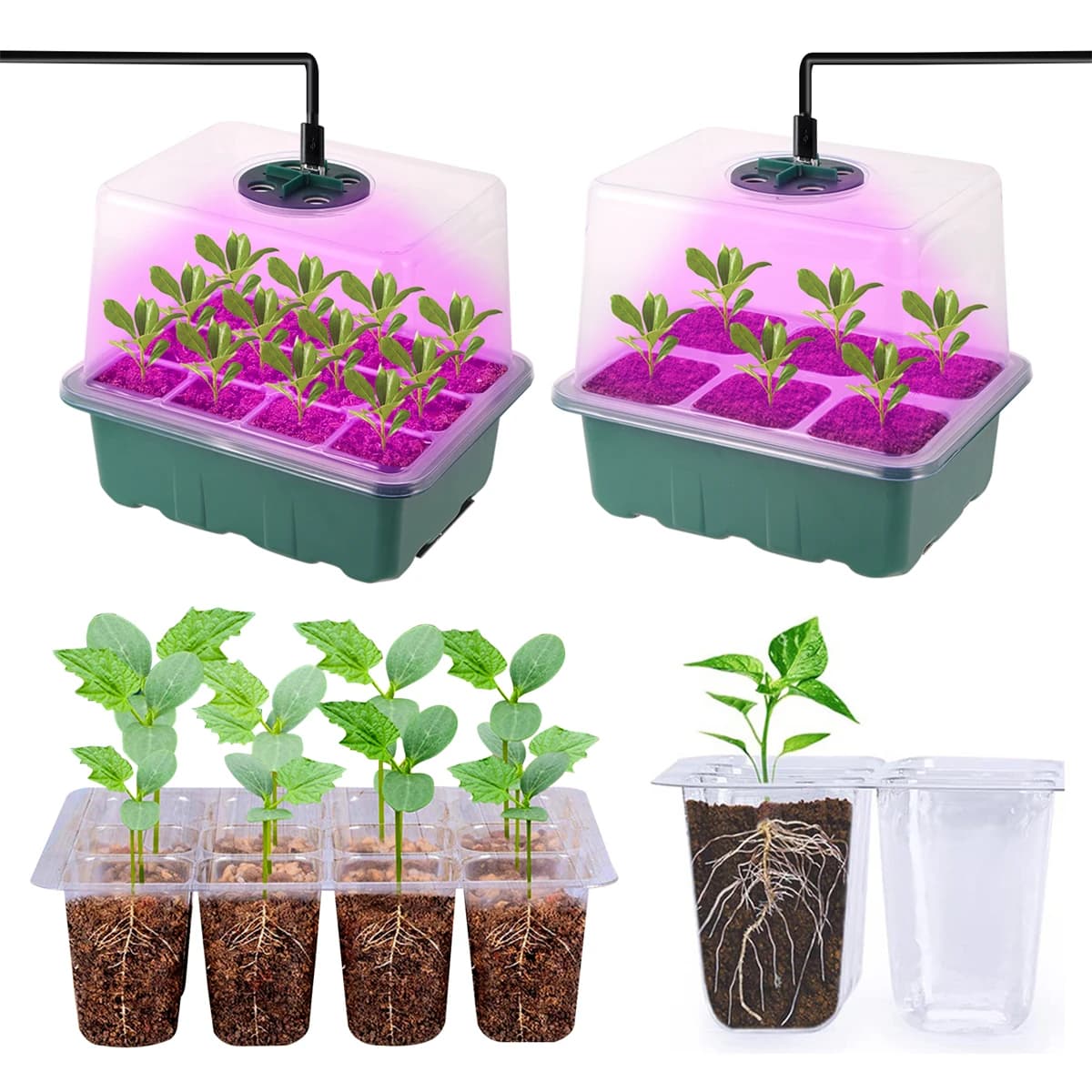 Kit de caja de cultivo de jardinería, bandeja de inicio de semillas, luz LED de cultivo, planta de jardín, flor suculenta, maceta de germinación