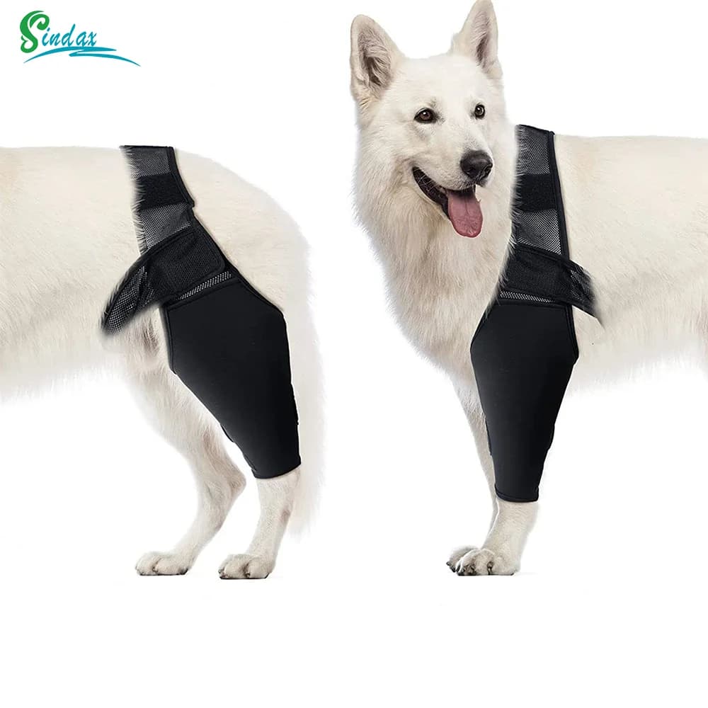 Rodillera para perros y mascotas, soporte para el dolor articular, dolor muscular, pierna trasera, soporte para ancianos, discapacitados, perros