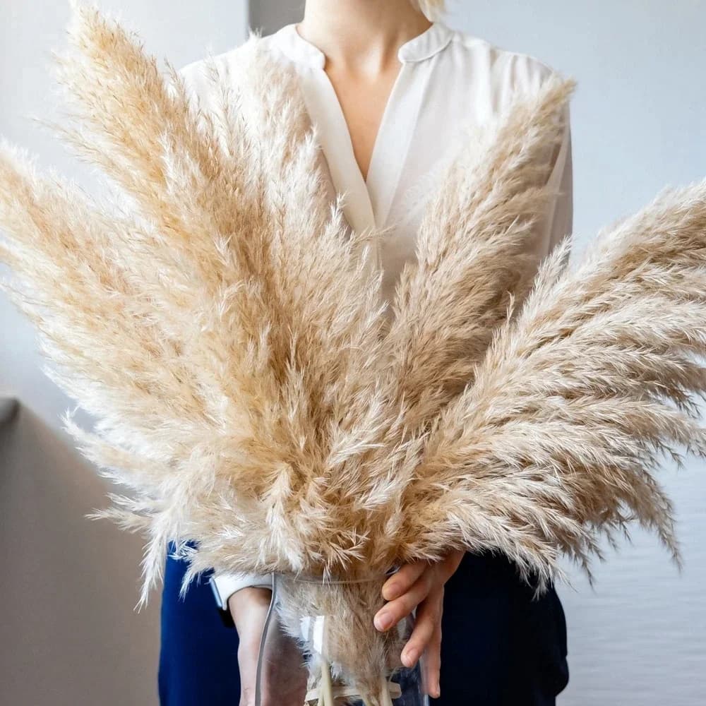 Hierba de Pampa grande esponjosa de 120cm - 130cm, ramo de flores secas naturales, decoración de boda Bohemia, adorno de tienda, decoración del