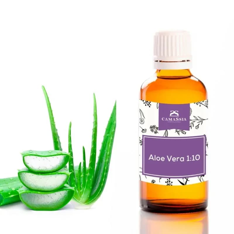 Camassia Aloe Vera 1:10 | Principios activos naturales | Concentrado puro 1: 10 veces sin espesantes ni gelificantes