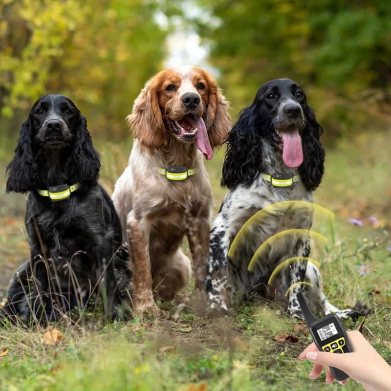 Dispositivo de Entrenamiento para Perros, Collar Antiladridos, Compatible con Control Remoto Inalámbrico, Resistente al Agua