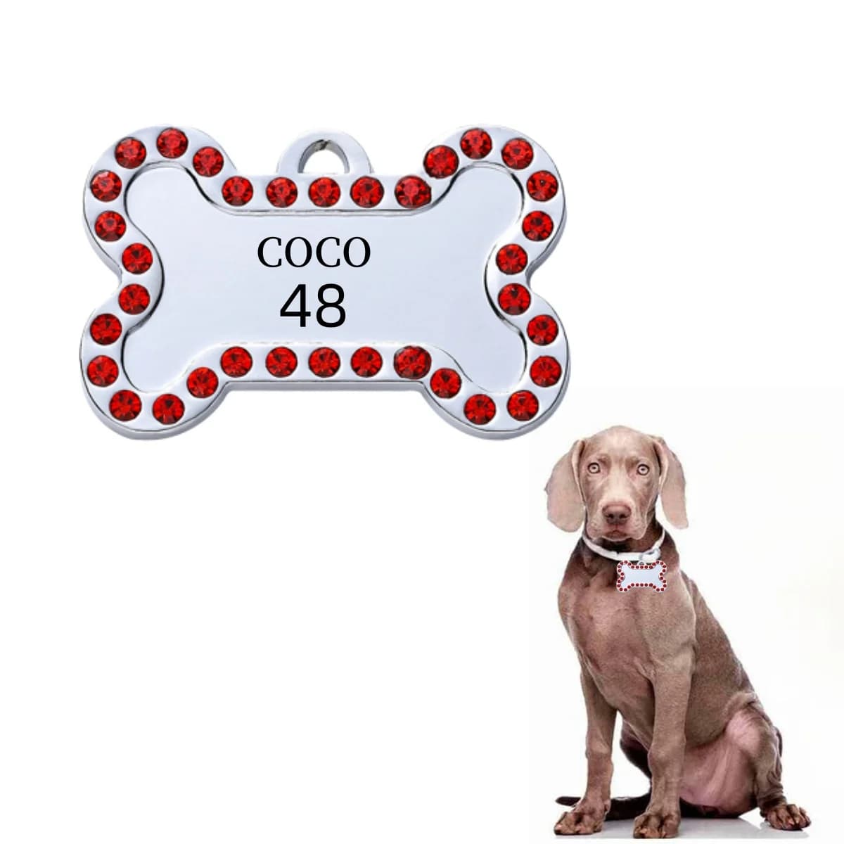Placa de Identificación Personalizada VIP para Perros, Colgante con Número de Dirección Grabado, Etiqueta de Identificación Personalizable para