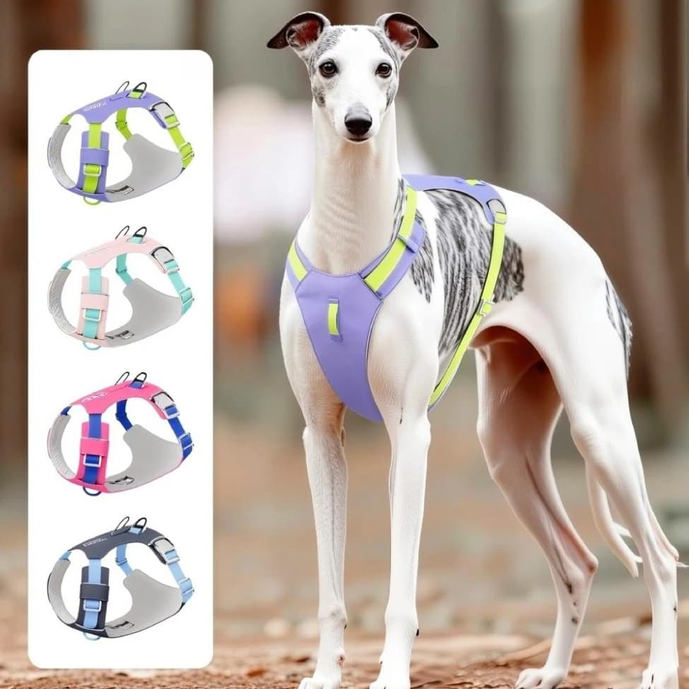 Nuevo Arnés Ligero y Reflectante para Perros y Gatos, Correa de Pecho, Arnés Suave sin Tirones, Chaleco Ajustable para Mascotas al Aire Libre