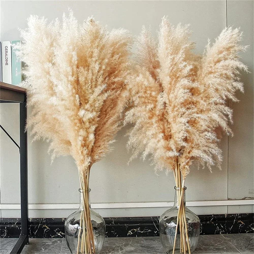 80-120cm hierba de Pampas grande alto xxl esponjoso Pampas flores secas decoración bohemia planta para florero hogar decoración de boda arreglo