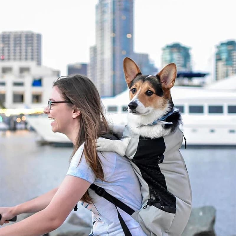 Mochila de nailon fuerte para transportar perros pequeños y medianos, mochila de ciclismo transpirable de alta calidad para viajes al aire libre,