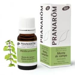 Pranarom Bio Aceite Menta de Campo, 10ml.