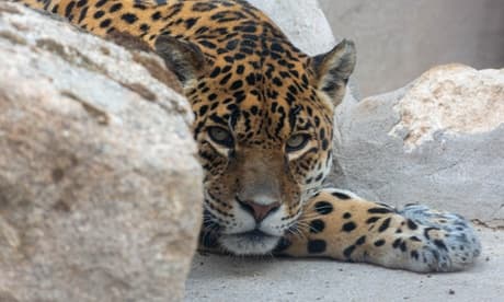 Para 2 adultos y 2 niños: Entrada al zoo con una bolsa de comida