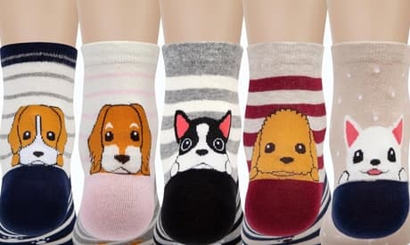 Calcetines de rayas con perro : 10