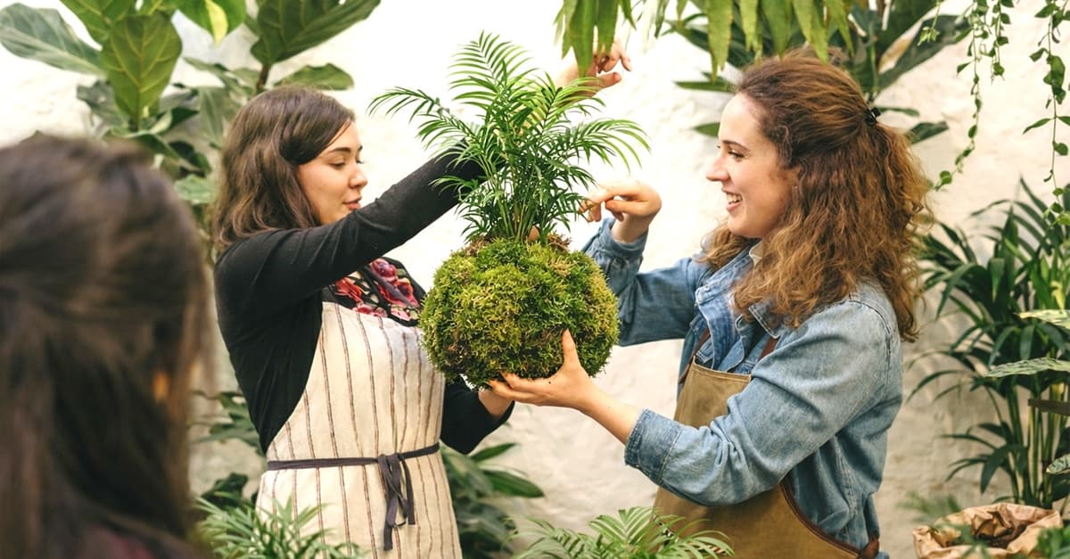 Taller de Kokedama o cuidado de plantas para 1 o 2 personas