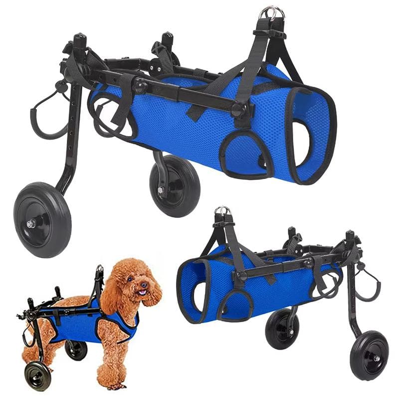 Silla de ruedas ajustable para perros pequeños para patas traseras, mascotas discapacitadas, férula para patas, ayuda de movilidad para mascotas