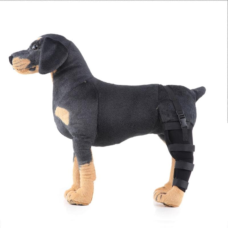 Perro  Pierna  Trasera  Articulación  Férula  Tamaño Ajustable  Mascota  Vendaje de Compresión  Protectores de Pata  Ayudas para Caminar 