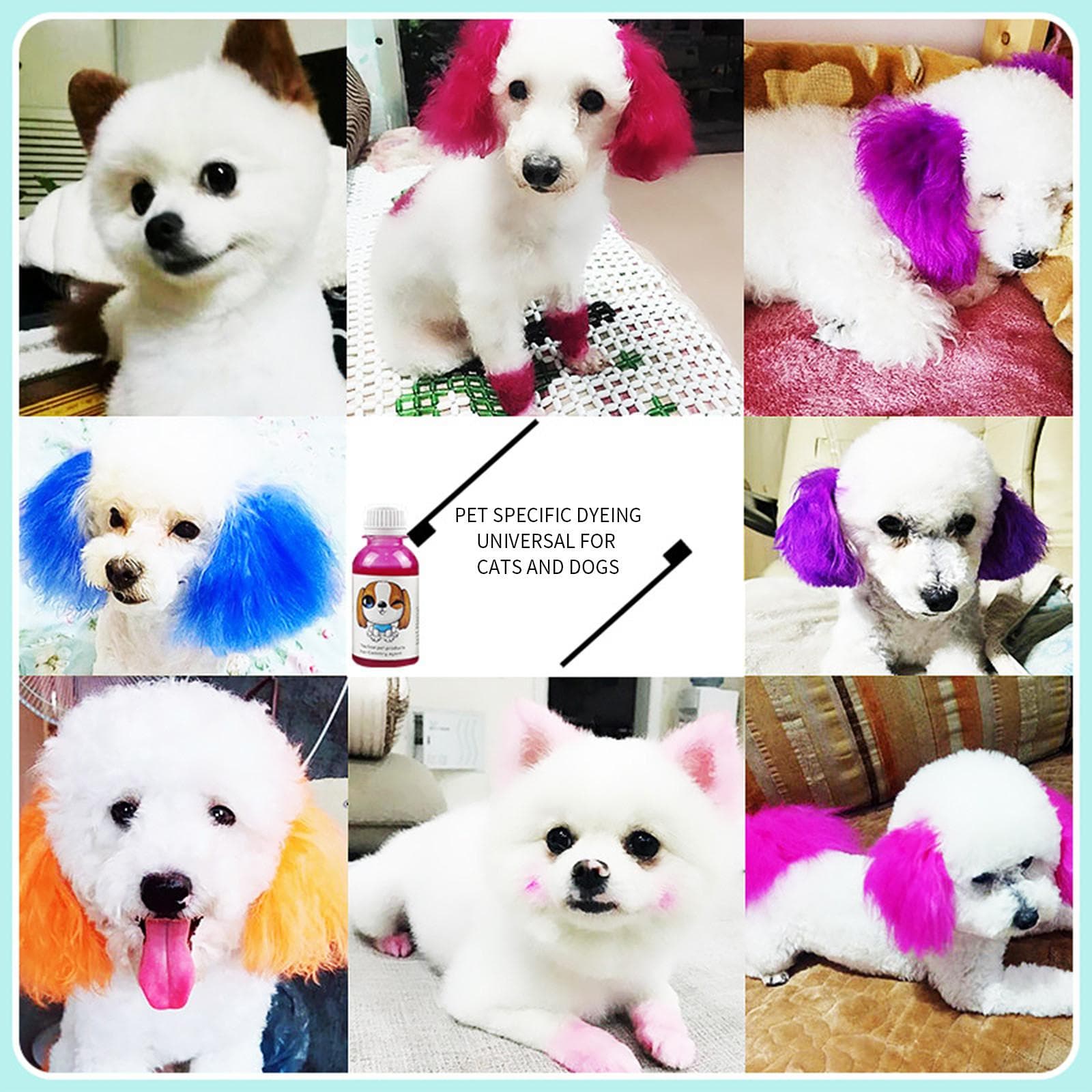 Champú colorante para perros, tinte semipermanente para el pelo de perros, champú seguro, sin champú