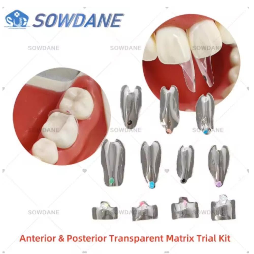 10 piezas/paquete de matrices transparentes dentales Anterior PosteriorFit Bioclear BT, matrices transparentes para restauración de molares, clase de