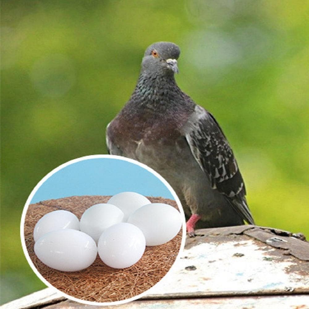 6 Piezas Huevos de Paloma de Plástico Sólido Blanco Huevos Falsos Mejoran la Tasa de Puesta y Supervivencia