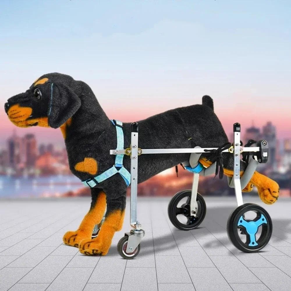 Silla de ruedas para perros de 4 ruedas, silla de ruedas para rehabilitación de mascotas pequeñas y medianas con asistencia para caminar