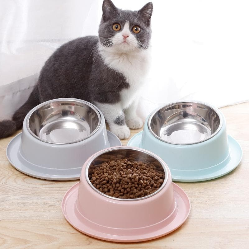 Comedero inclinado para gatos, cuenco antihormigas, accesorio para mascotas, cuenco para perros, recipiente de acero inoxidable de calidad para gatos,