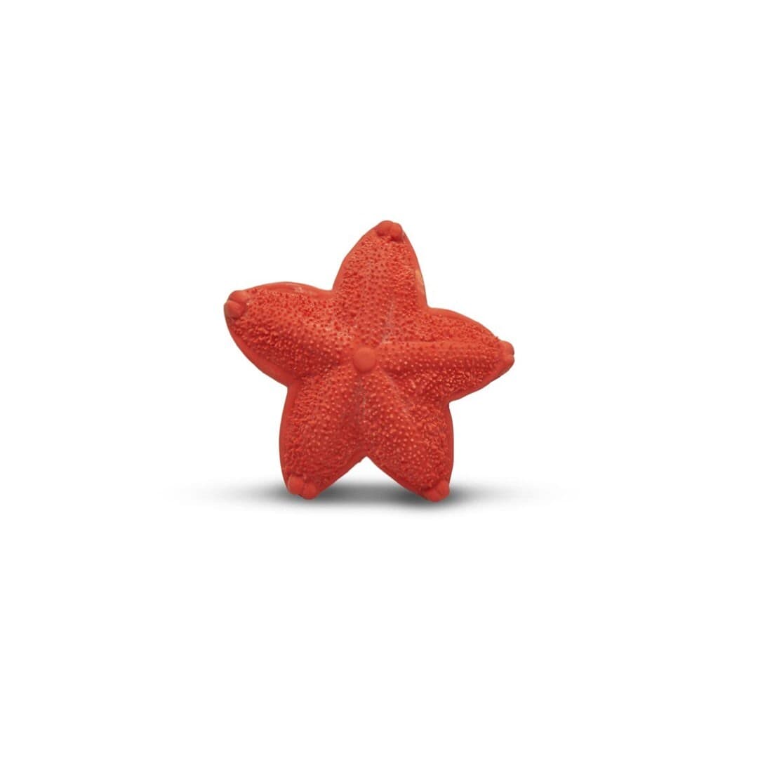 Mordedor Asteroidea Biodegradable Lanco