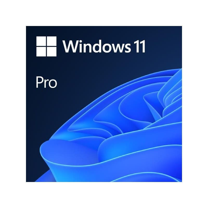 Windows 11 Pro (1 PC)