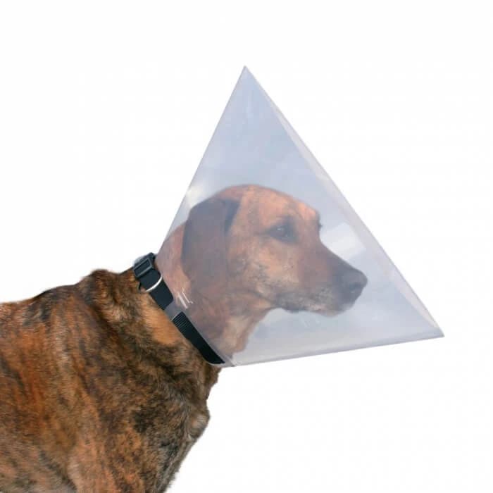 Collar protector para perros 47-57/30 cm
