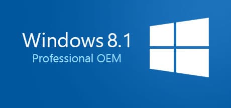 Windows 8.1 Professional OEM