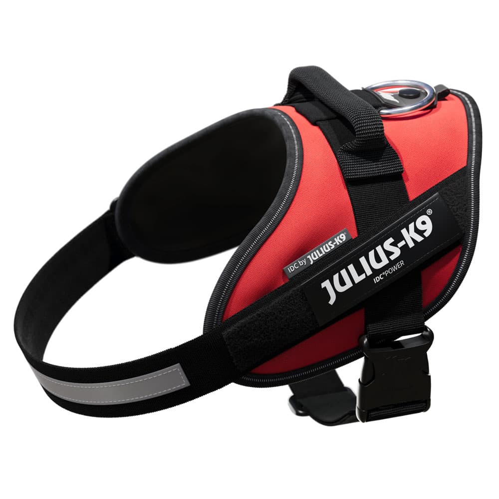 Arnés Julius-K9 IDC® Power rojo para perros - M: Contorno de pecho 58 - 76 cm