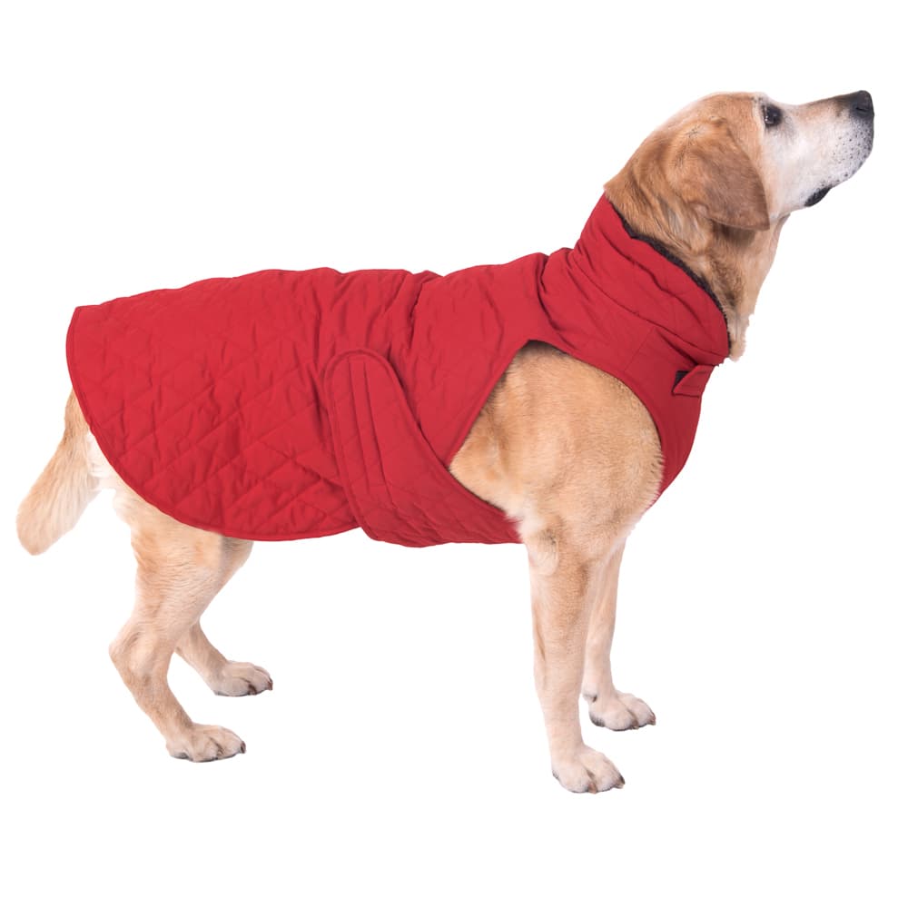 Abrigo acolchado para perros - 70 cm aprox. de longitud dorsal