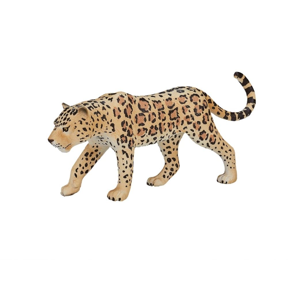 Mojo Leopardo manchado