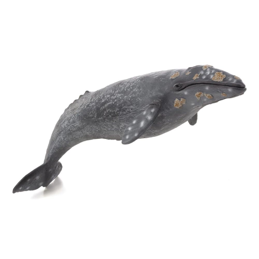 Mojo Ballena gris
