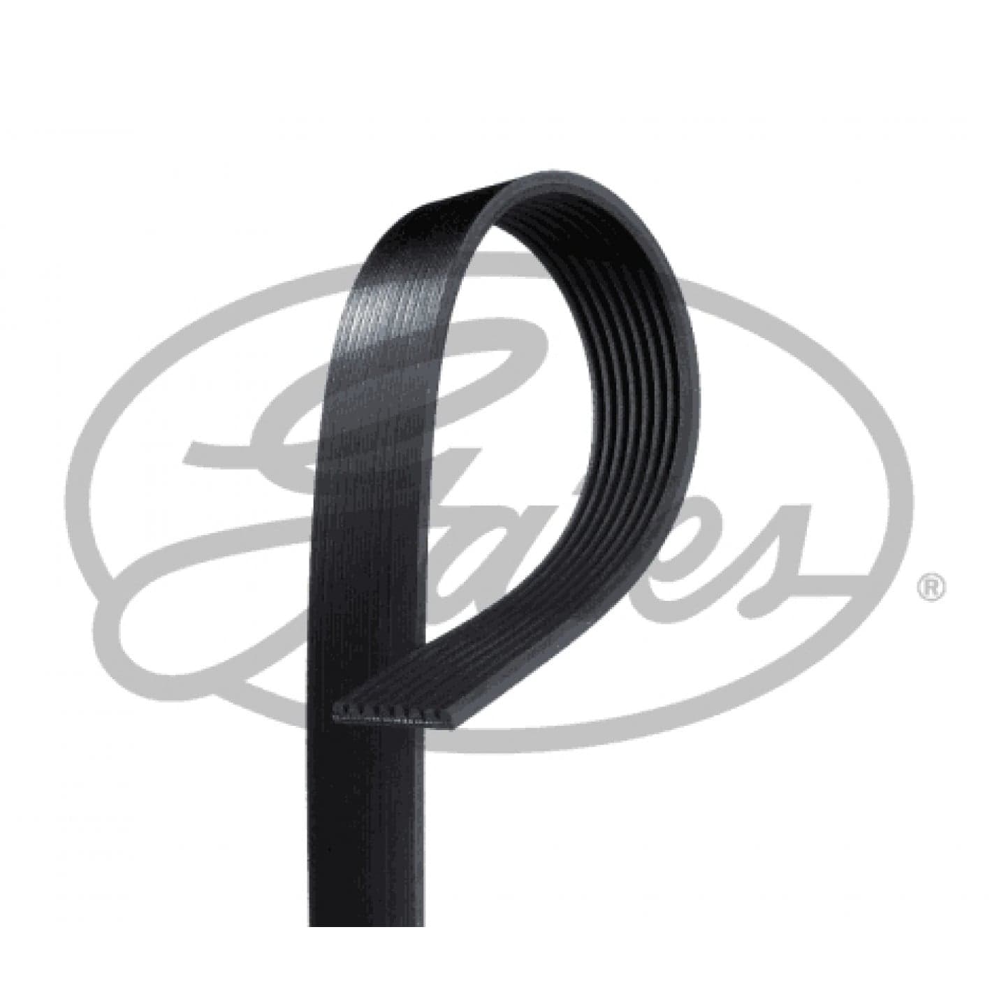 Correa auxiliar-v GATES 8PK1275ES