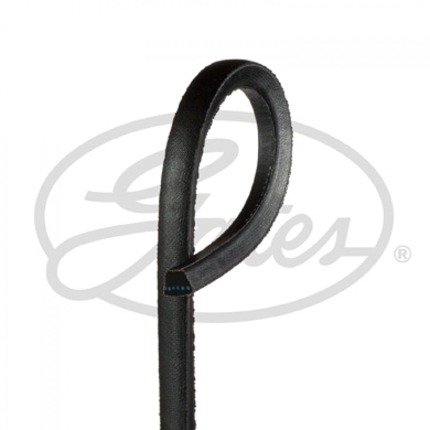 Correa trapezoidal GATES 6723ES