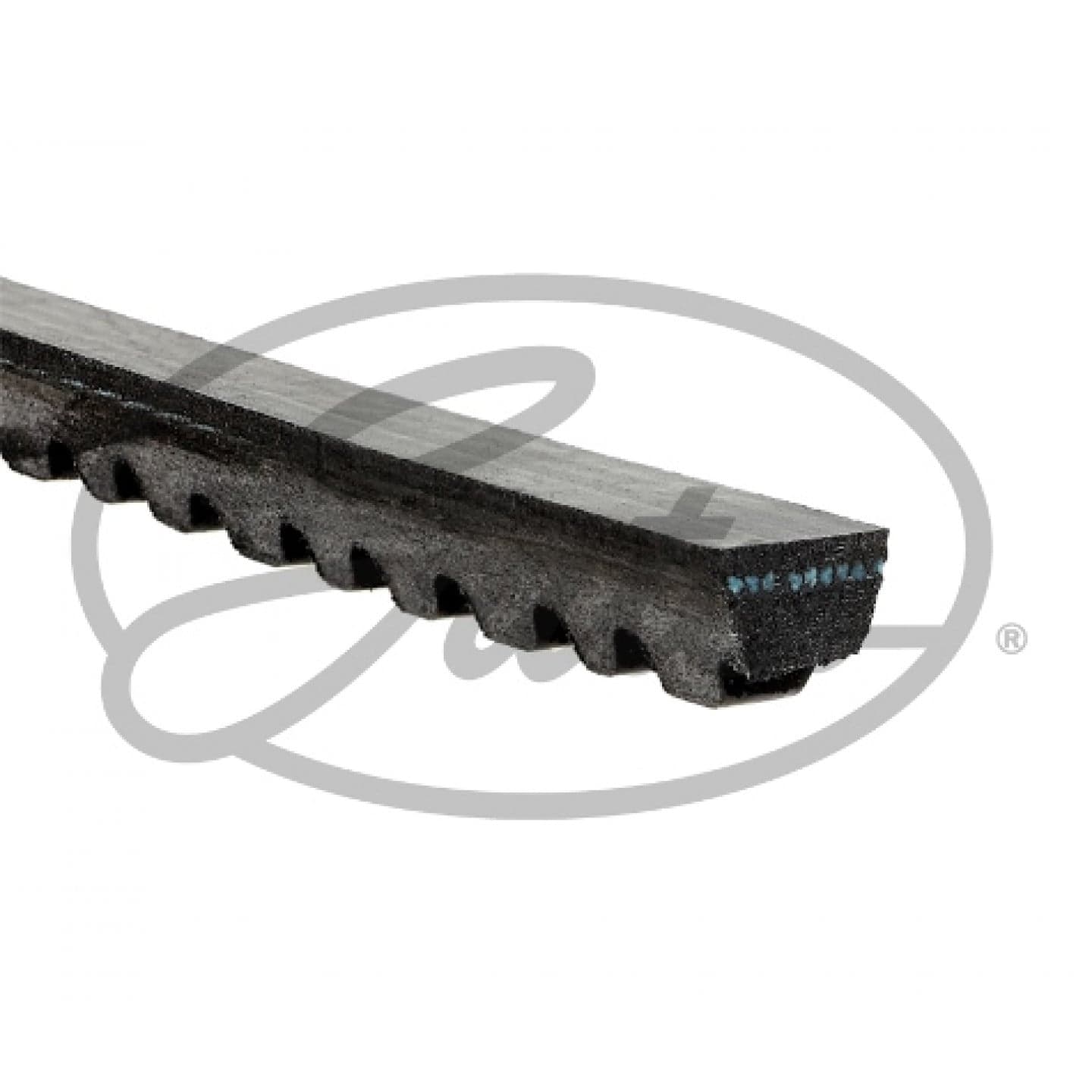 Correa trapezoidal GATES 6483EXL view 2