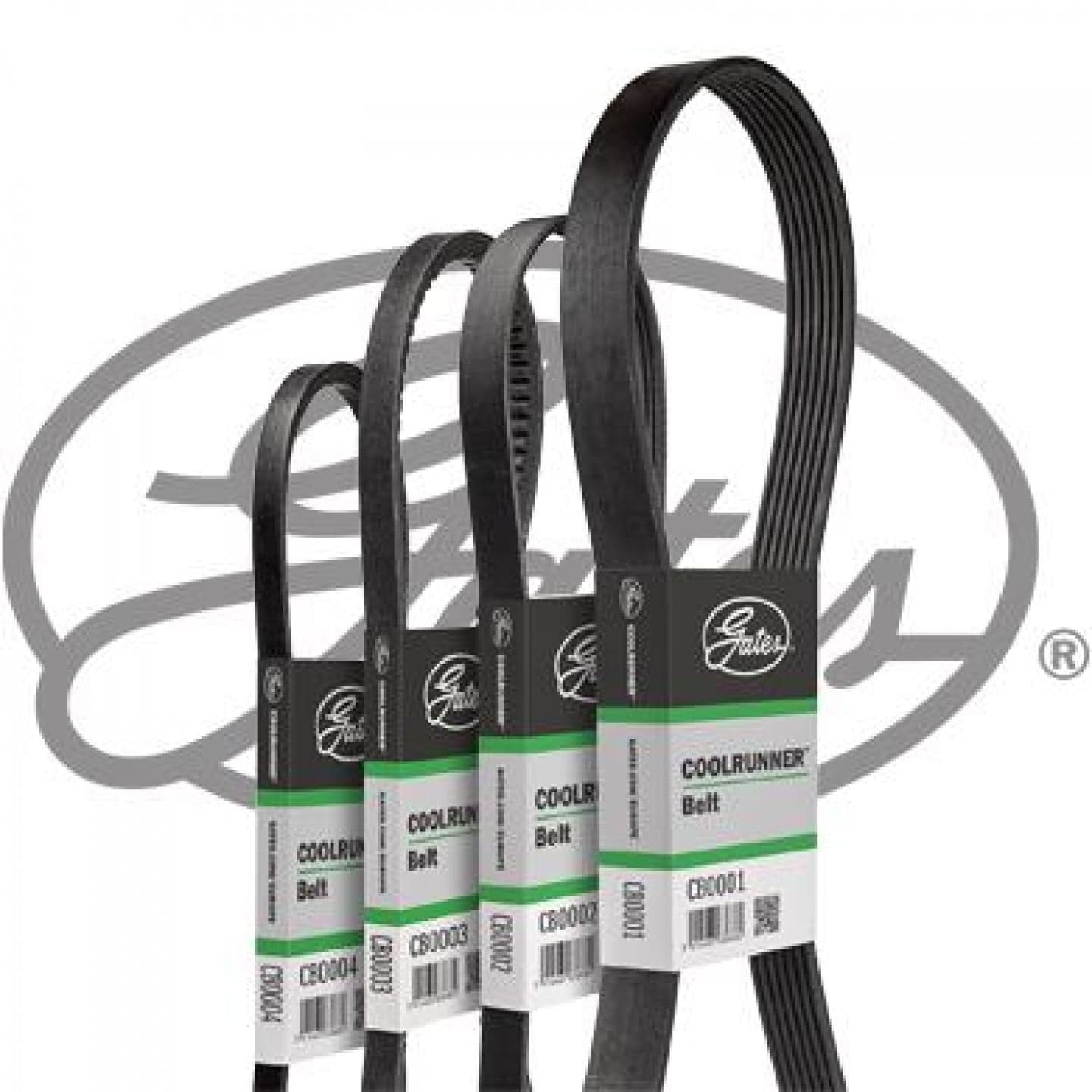 Correa auxiliar-v GATES CB0009