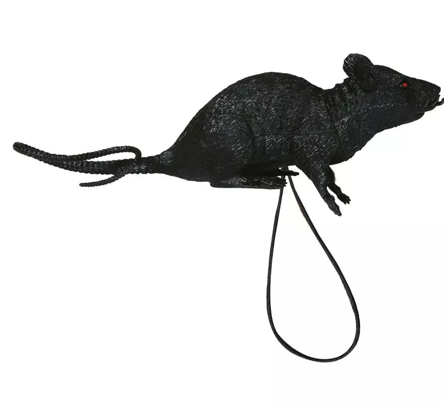Rata con Elástico para Hombro de 16 cm