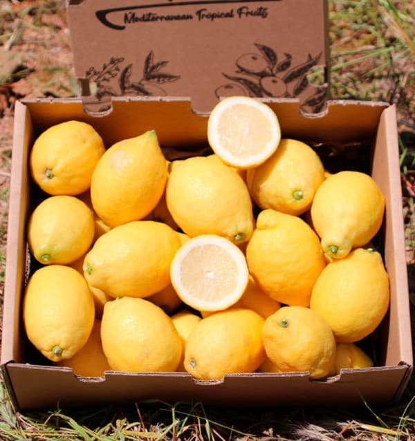 Limones - Kilos: 9.00 kg