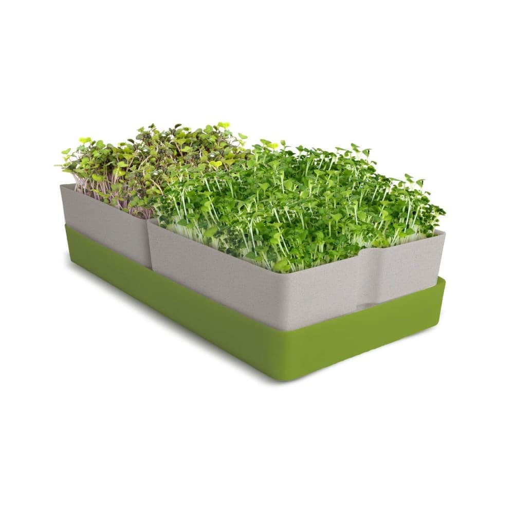 Bandeja Geo Smart Greens y 2 bolsas de sustrato para microgreens - Bavicchi