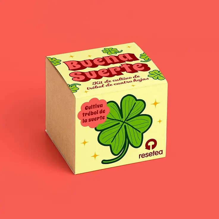 Buena suerte. Kit de cultivo de trébol de cuatro hojas