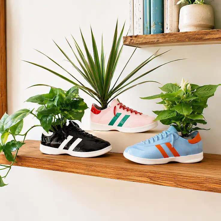 Walking Plant: maceta original en forma de zapatilla