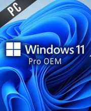 Windows 11 Professional OEM