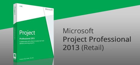 Microsoft Project Professional 2013