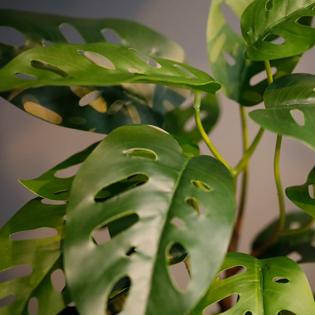 Monstera Adansonii Planta Artificial 30cm