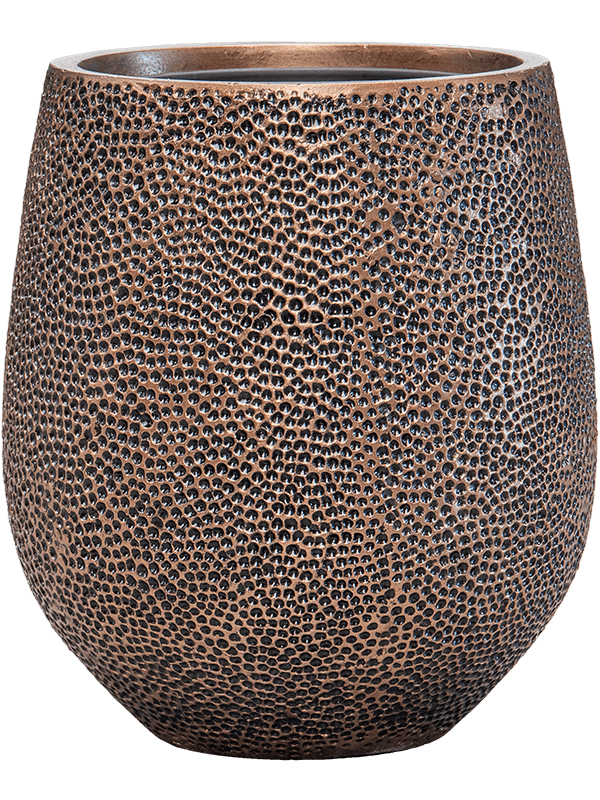 Baq Opus Hit Darcy Gold 38x42cm (con maceta de inserción)