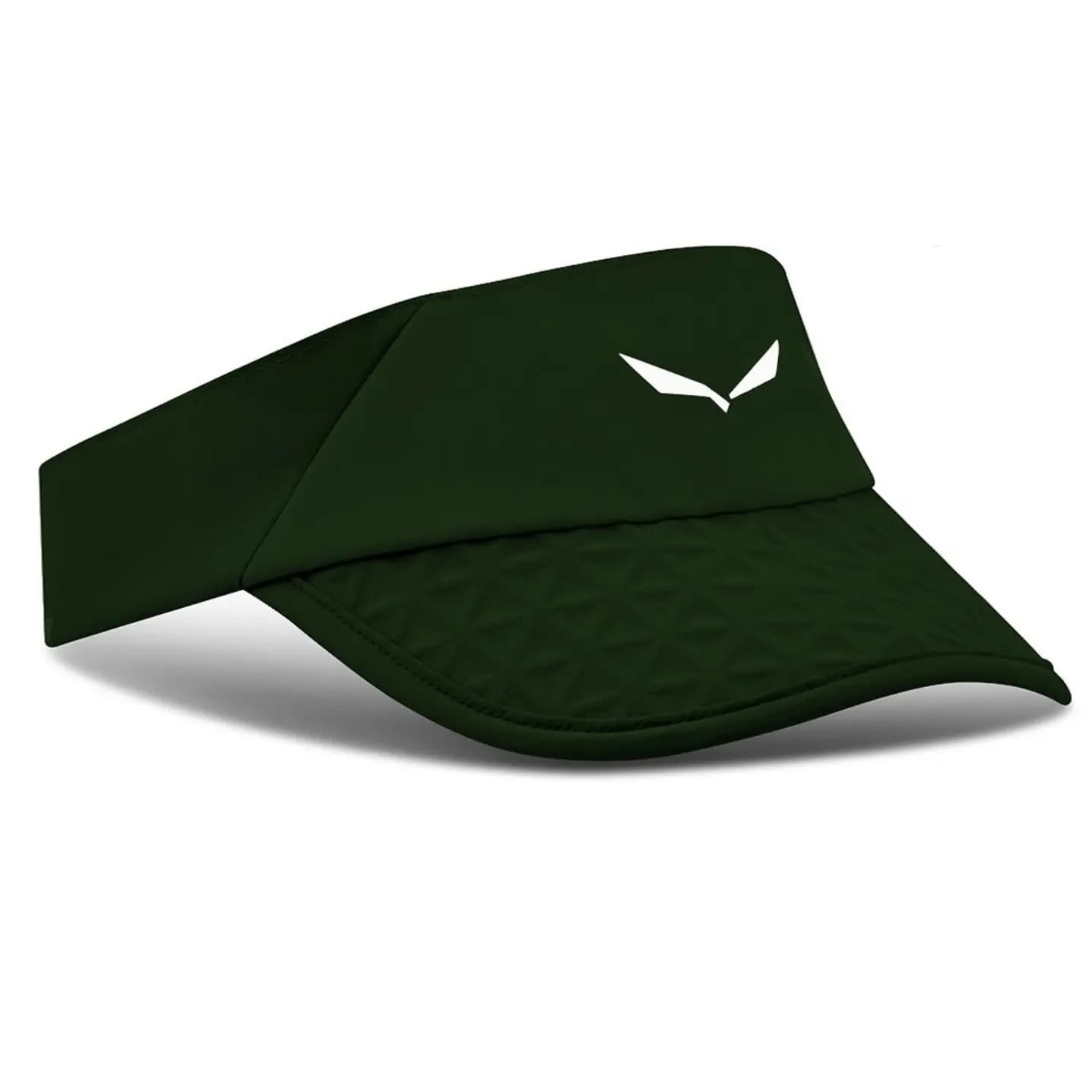 Gorra de béisbol Salewa Pedroc Dst Light Visor